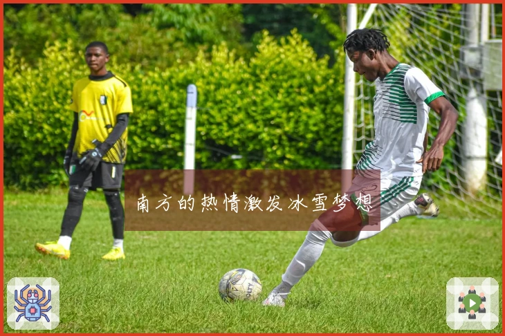南方的热情激发冰雪梦想
